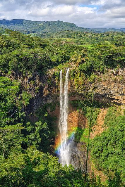 MauritiusGuide tweet picture