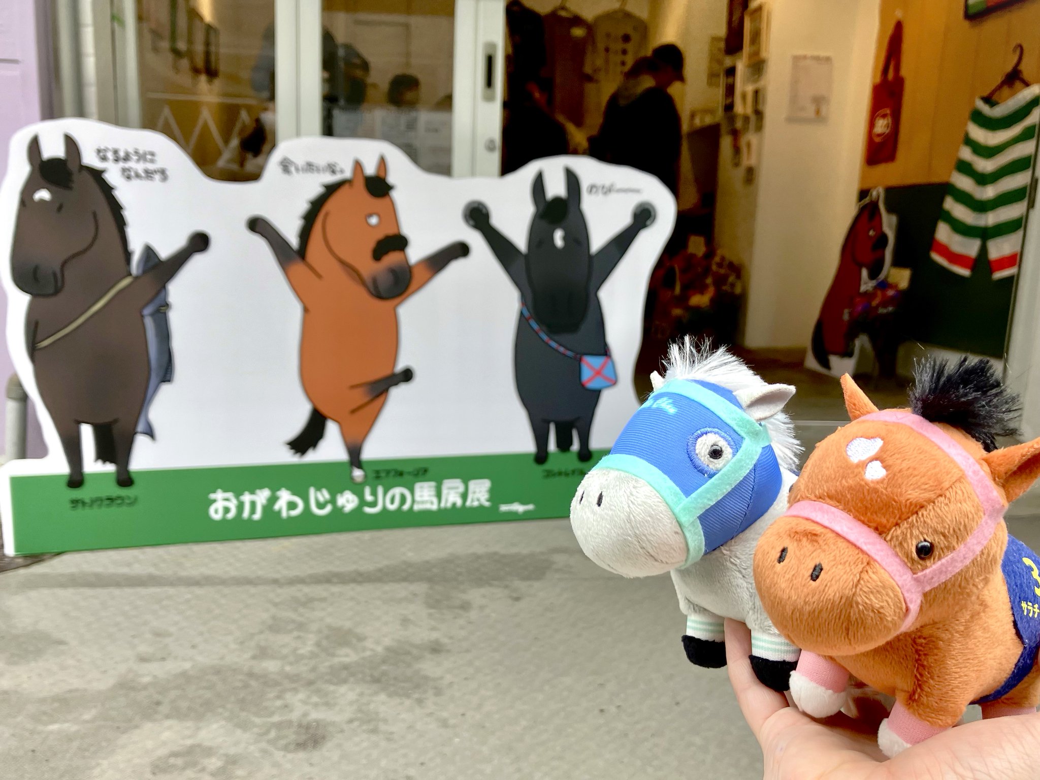 サラブレッドコレクション【公式】 on X: 