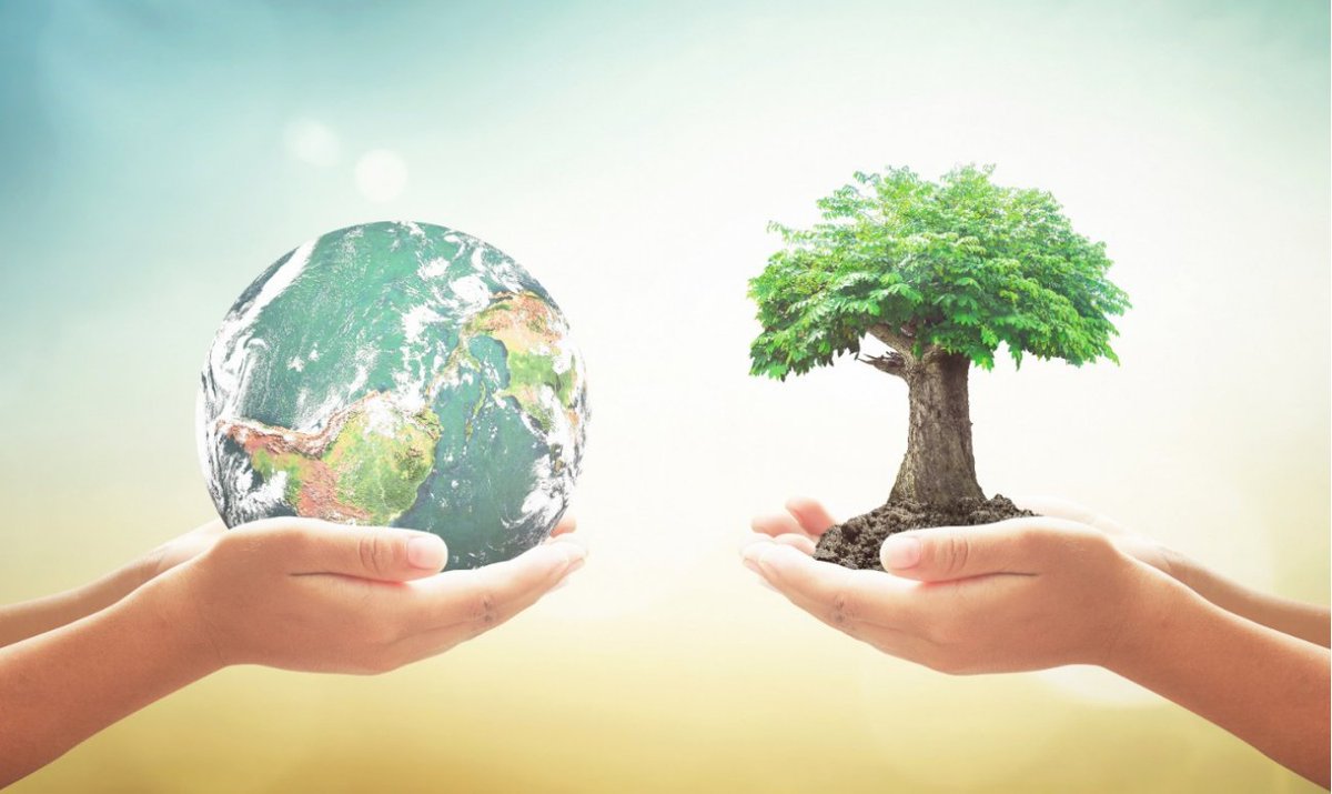 GeniusBooks's tweet photo. 🌍 Happy Earth Day! Let's celebrate and protect our planet. Here's how: Appreciate nature, Plant trees
Reduce, reuse, recycle Conserve water,Use renewable energy, Support local, Clean up litter Together, we can make a difference! #EarthDay  https://t.co/9tNoAMGBa3 https://t.co/kuAwTbrydY