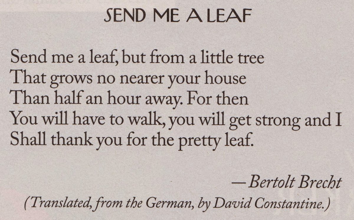 If you see this little poem on your TL today, please reply with a leaf from a little (or big) tree that grows no nearer from your house (or office) than half an hour away