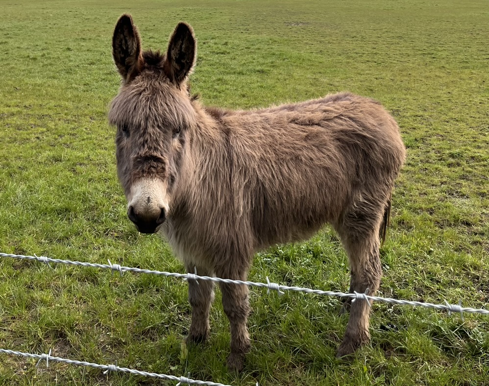 Evesham Rambling Club 🥾🥾 tweet media