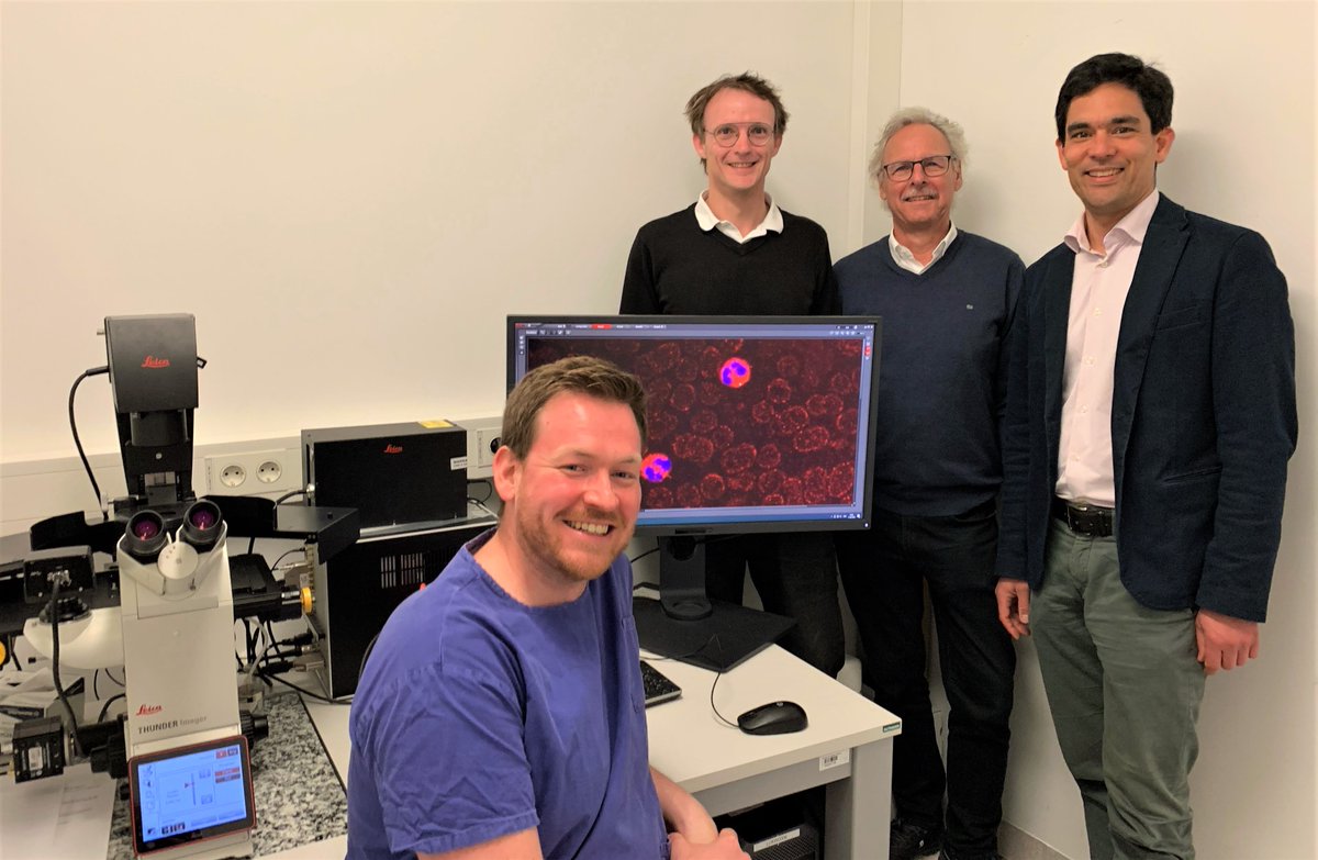 Biomarker für Hochrisikogruppe bei #Schlaganfall. Lokale Freisetzung des Enzyms MMP-9 vor #Thrombektomie als Prädiktor für raumfordernde Einblutungen und schwerste Behinderung oder Tod trotz erfolgreicher Rekanalisation. @eBioMedicine @Izkf_Wuerzburg ukw.de/aktuelle-meldu…