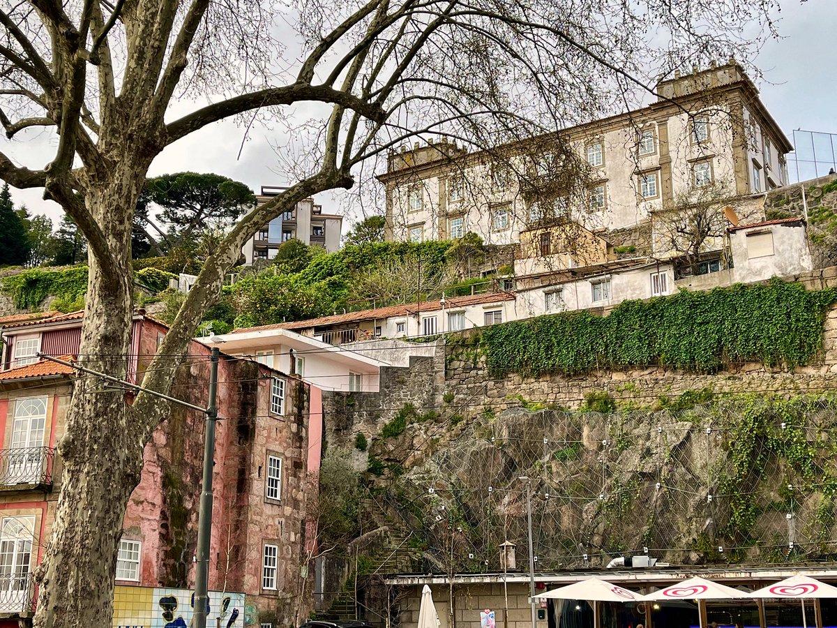 More of Porto’s colourful buildings🇵🇹🤩
#Porto #Oporto #Portugal #Portuguesa 
#visitportonorth #VisitPortugal #BestofPortugal 

Have a good day all😊🌻🌞 #MondayMood  #MondayMorning #Monday #travel