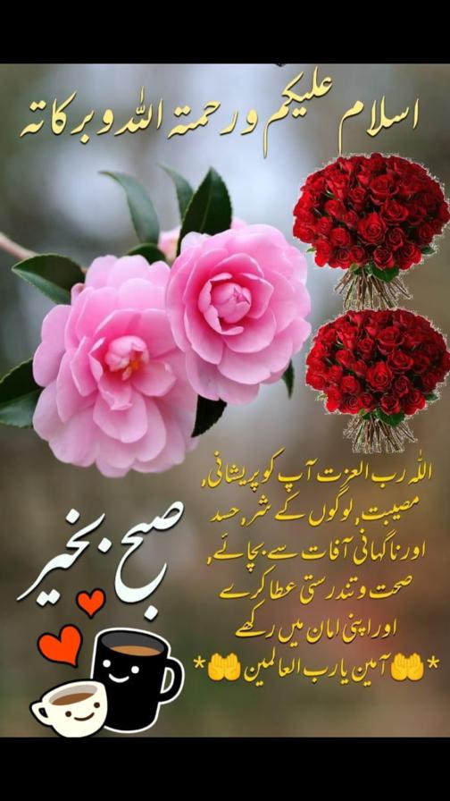 Assalam o alaikum &amp; Good Morning 🌞🌄