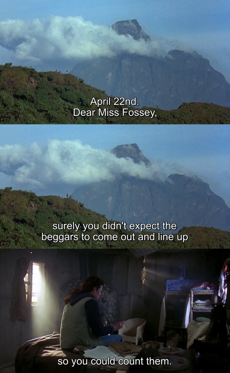 CineCalendar's tweet image. Apr 22nd - Louis Leakey replies to Dian Fossey, after she sent him a message expressing her disappointment in not seeing any gorillas. 

📽️📅 Depicted in Gorillas in the Mist (1988)