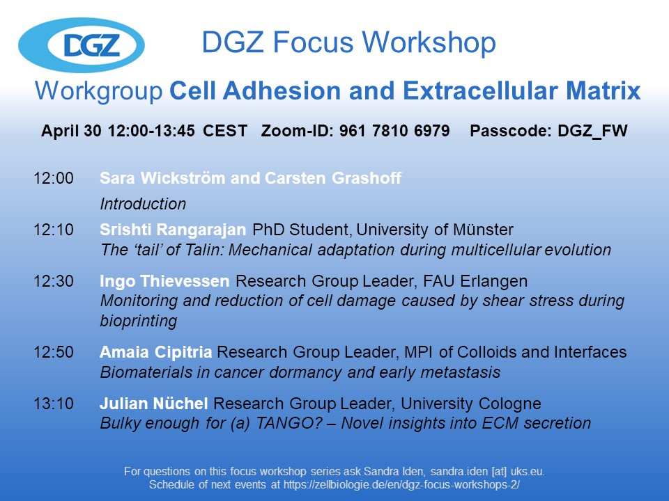 Join us for the next @DGZ_info Focus Workshop on #celladhesion and #extracellularmatrix, Tuesday April 30 at noon in Zoom, organized by Carsten Grashoff and @WickstromLab. Speakers: Srishti Rangarajan @uni_muenster, @IngoThievessen, @amaia_cipitria, @JNuchel ⬇️