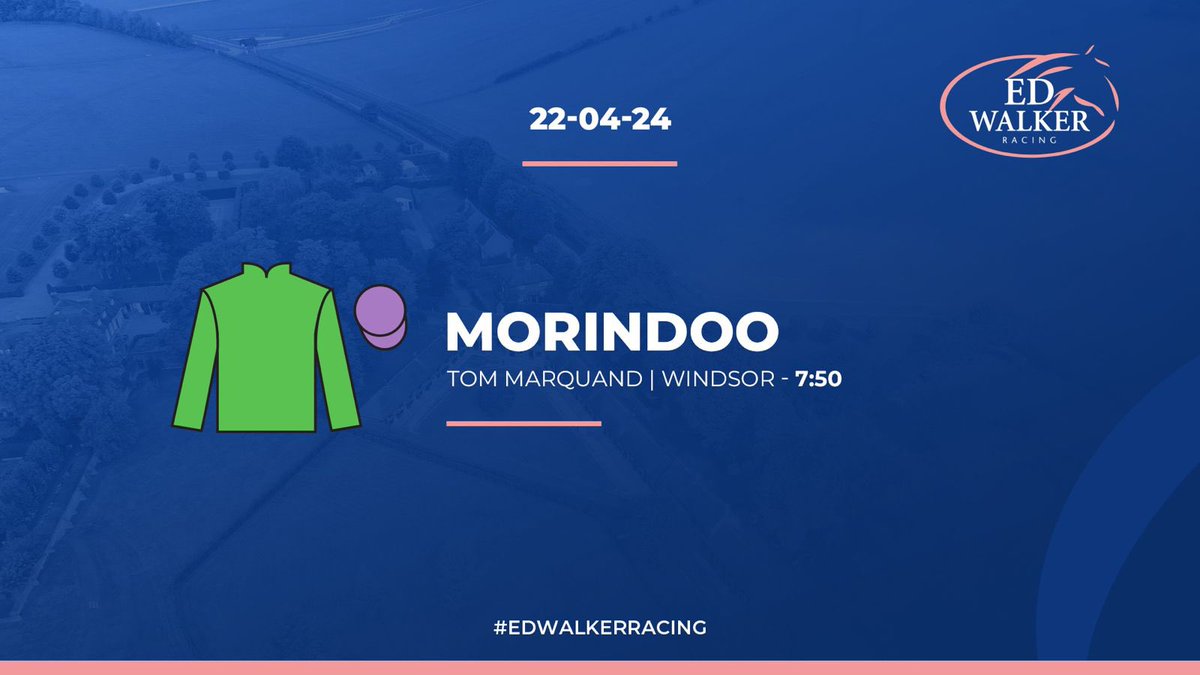 Morindoo heads to Windsor this evening for their 1m Handicap at 7:50pm under jockey Tom Marquand 🤞🏻🏇 #EdWalkerRacing