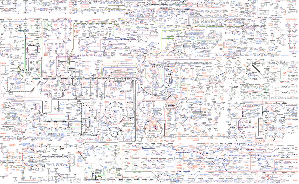 The Roche Biochemical Pathways Poster: biochemical-pathways.com/#/map/1