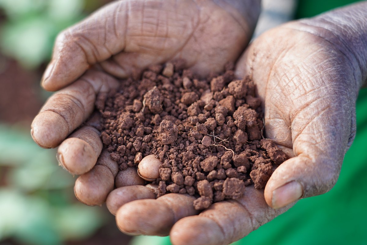 Happy #EarthDay! Our 🌍entire existence, from the food we eat to the air we breathe, is intricately connected to Mother Earth's abundant gifts. At @WFP, we're committed to partnering with communities in #Zimbabwe to safeguard and nurture our planet for future generations.🌱