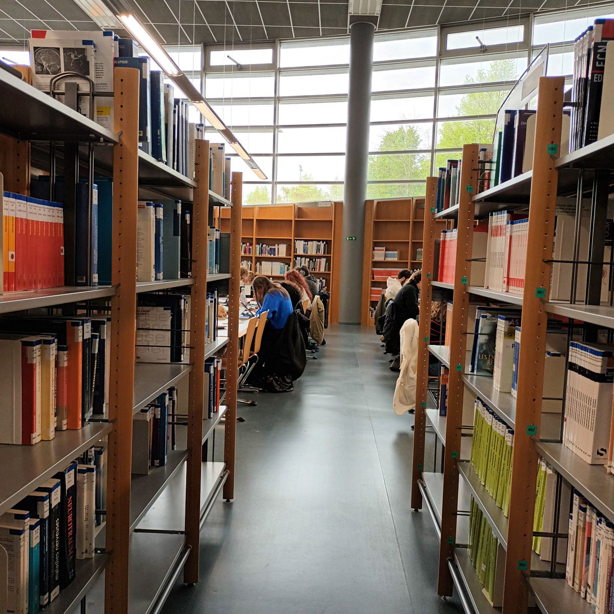 Pendant les congés, les bibliothèques @universitereims vous accueillent ! Cette semaine : ➡️ #busantereims et #burobertdesorbon lun-ven 8h-20h ➡️ #bumoulindelahousse lun-ven 8h-19h ➡️ #bucomtesdechampagne (Troyes) lun-ven 9h-17h ➕ samedi, #burobertdesorbon 9h-19h