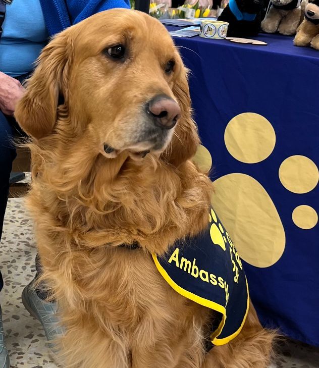 Thank you for all your support at Asda Clayton Green - we raised over £300 thanks to the generosity of Asda’s customers
#Chorley #GuideDogs #GuideDogsUK #GuideDogsForTheBlind