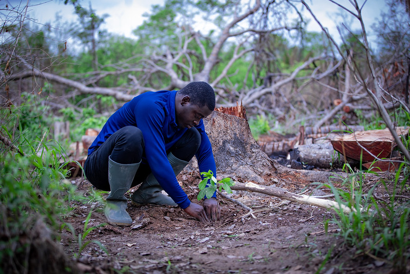 How are you celebrating Earth Day? Plant a tree. Organize a trash clean-up. Build a community garden. Reduce your use of single-use plastic. Learn how to recycle in your community. These are simple actions that have worldwide impacts. #EarthDay2024 📸 credit: Enoch Ayane