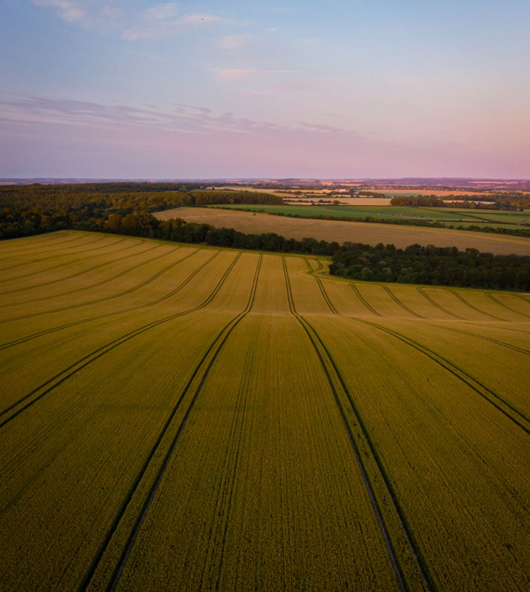 💚Rolling scenes of green from Hampshire 🌍Find out more about green tourism in Hampshire this Earth Day visit-hampshire.co.uk/visitor-inform… 📍 Farley Mount 📷 Ewan Laver