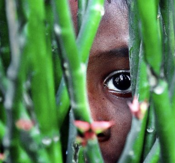 Hoy celebramos el #DiadeLaTierra. Una ocasión para alertar que el cambio climático también amenaza nuestra salud ocular. Se espera un aumento de  tracomas, cataratas y enfermedades alérgicas oculares graves. ¡Tomemos acción ya! #iapb #WorldEarthDay2024