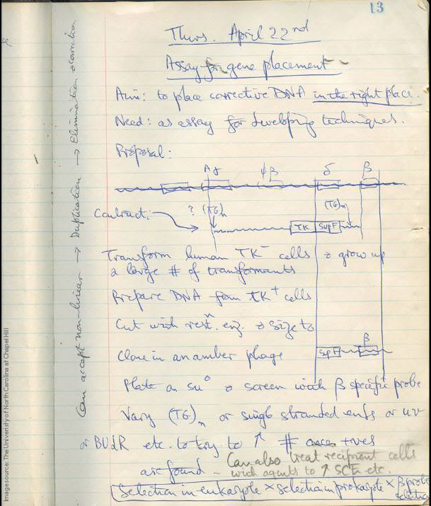 Take a look at Oliver Smithies' notebook from 1982 on gene targeting. 

Smithies shared the 2007 medicine prize for discovering how to use embryonic stem cells to create genetic changes in mice. Today, genetically-altered mice are an invaluable tool for research.