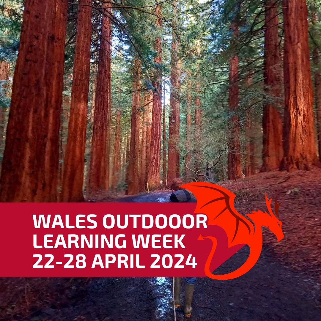 🌞Rise and shine! Amser deffro! Things to do in Wales Outdoor Learning Week: 🌲🏃‍♀️ Junior Forester Award: Learn about woodlands! 👨‍🦽🌳 @GreenTreeBadge: Have fun & earn your badge! 🌱🤸‍♀️ @FENE Resource Hub: Activities listed by key stage! #WalesOutdoorLearningWeek @NatResWales