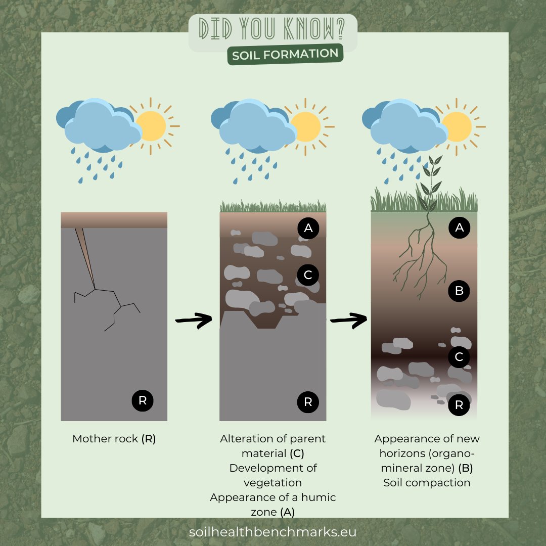 Happy Mother Earth Day! Do you know how soils are formed?🌱 They originate from parent rocks undergoing weathering due to climatic factors like sunlight and rainfall, forming different horizons over time.🌍 #SoilHealthBENCHMARKS #BENCHMARKS #SoilFormation