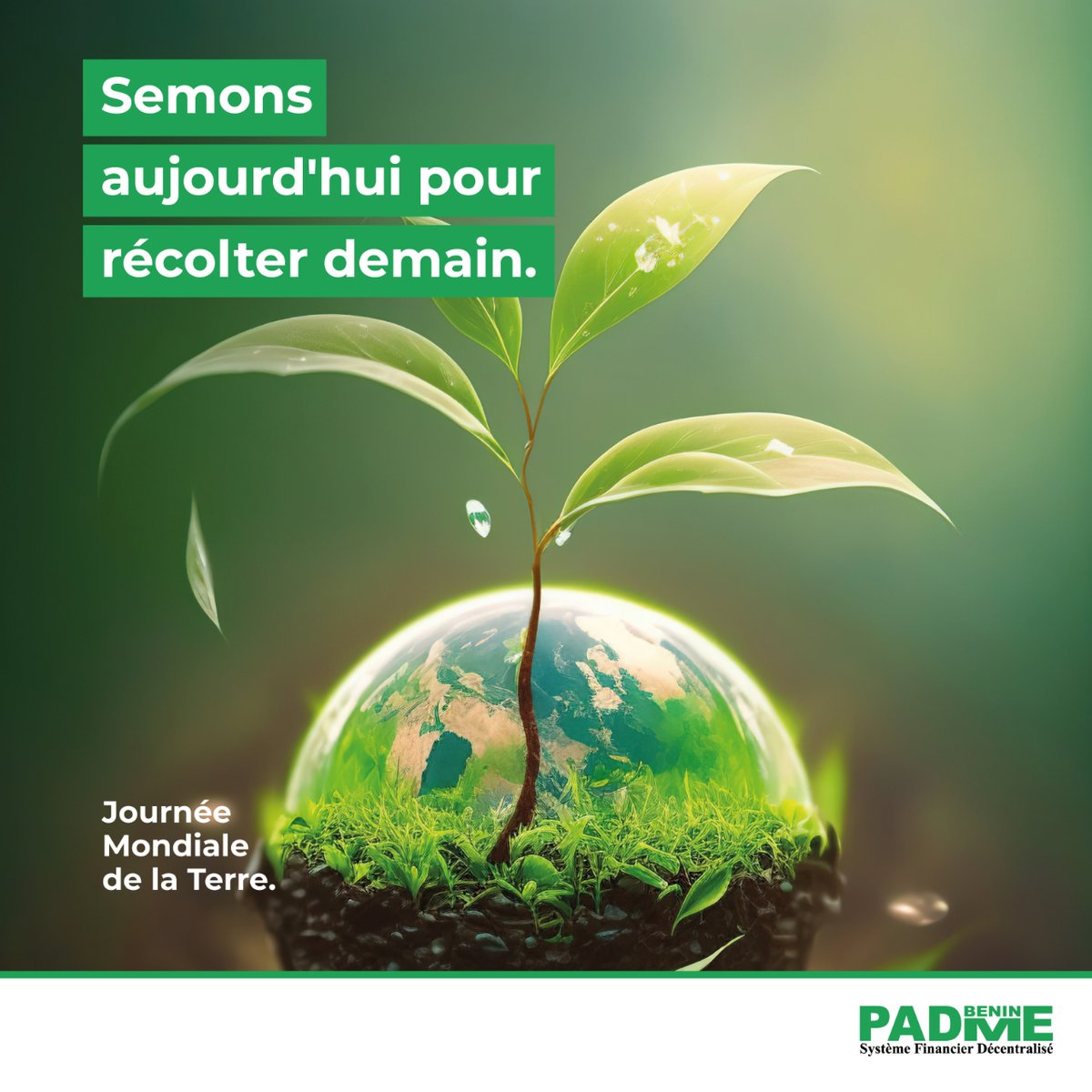 En cette Journée Mondiale de la Terre, engageons-nous à préserver notre planète pour les générations futures. Chaque geste compte pour un avenir plus vert et durable.
#PadmeBenin #JournéeDeLaTerre #AgirPourLaPlanète