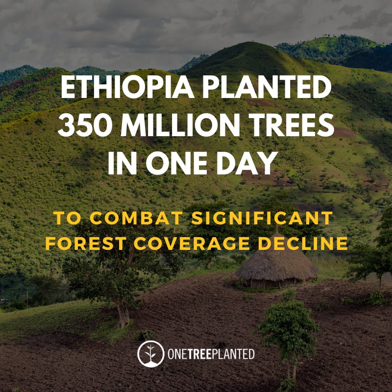 Thank you for your continued support! 
 We plant one tree with every purchase of an ecoeyes product. 

#ecoeyesuk #onetreeplanted #partnership