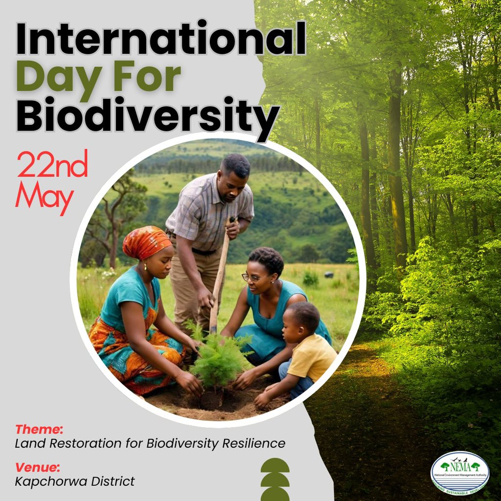 Restoring our lands, revitalizing our biodiversity🦋🐝🌾! Join us in Kapchworwa on May 22, 2024; as we celebrate International Day for Biodiversity, under the Theme: *Land Restoration for Biodiversity Resilience* 🌍🌳 #IDB2024 #environmentawareness