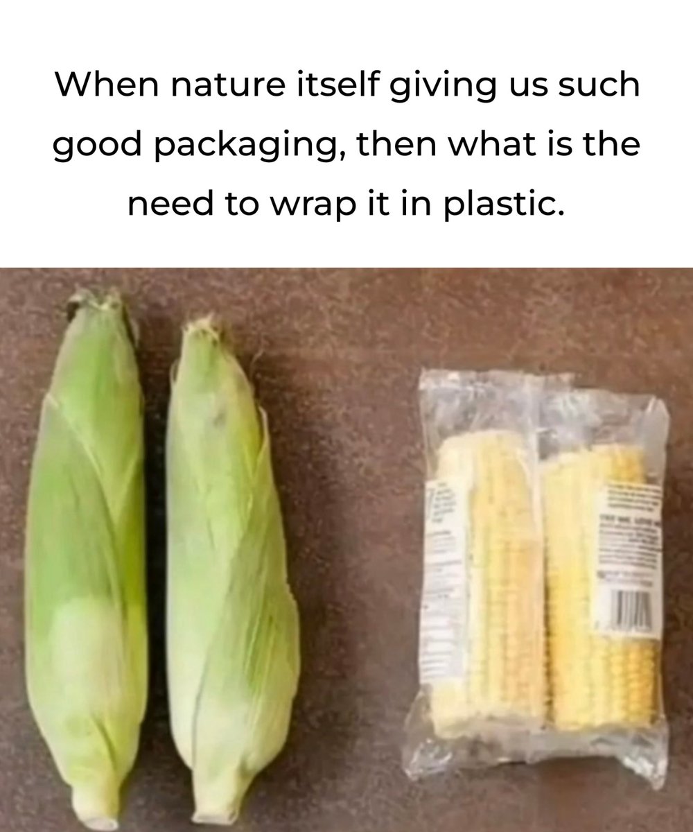 Say NO to PLASTIC. 👍