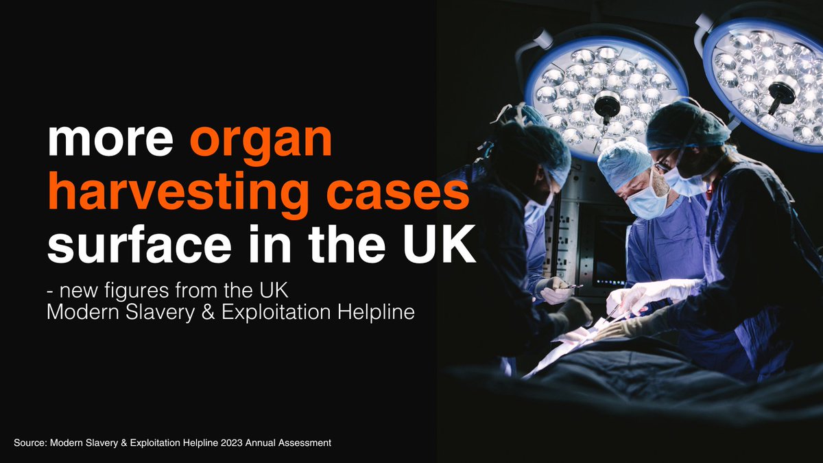 Organ harvesting cases rise in the UK: Four cases were reported to our @MSHelpline in 2023, following the first case in 2022 - a 400% increase. This trend disproportionately affects African and Asian communities. More #modernslavery trends here ➡ bit.ly/3w4SXiv
