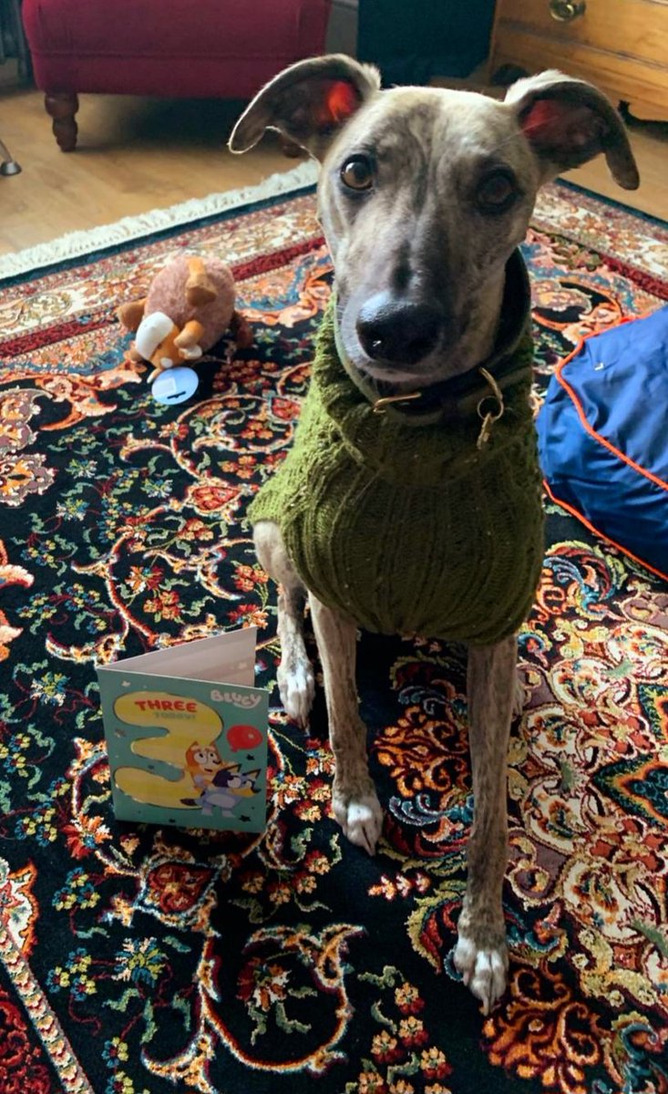 Well frens.  Today I am a big 3.  I got loads of prezzies.  Mum said I am spoilt, but there may be more treats of the edible kind to come. 😋