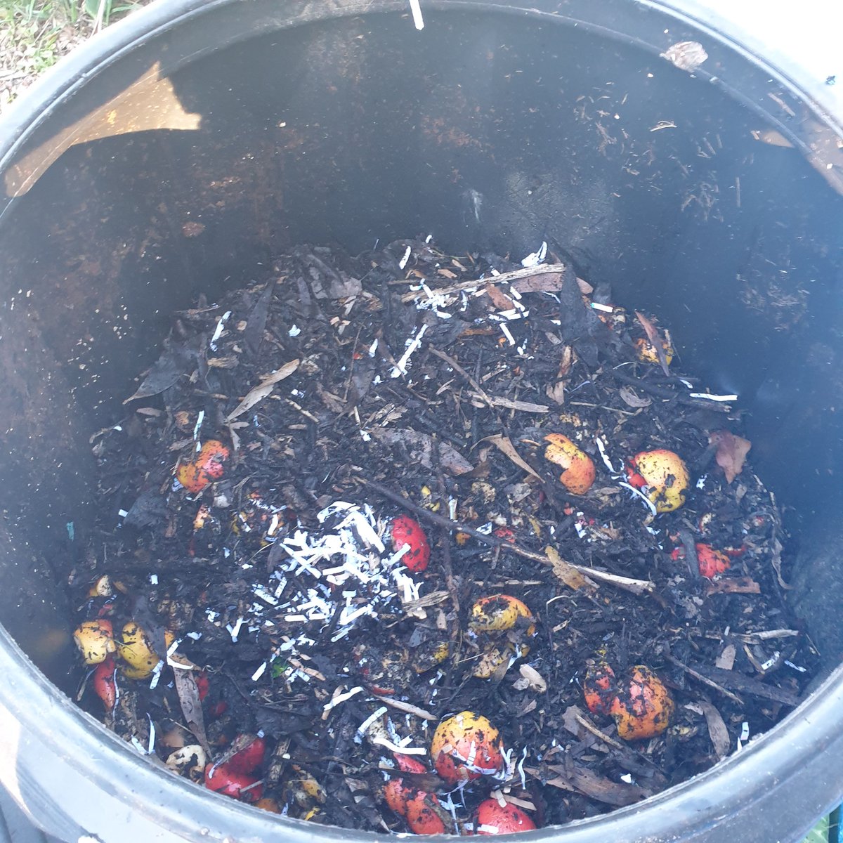 HAPPY EARTH DAY - ONE OF OUR MANY COMPOSTING BINS  Yes, very unsexy image of soil - because everything we make can return to the earth! No synthetics, no plastics, biodegradable elastics and threads. nothing is left at the end of our garment's life.
buff.ly/2pJuHgK