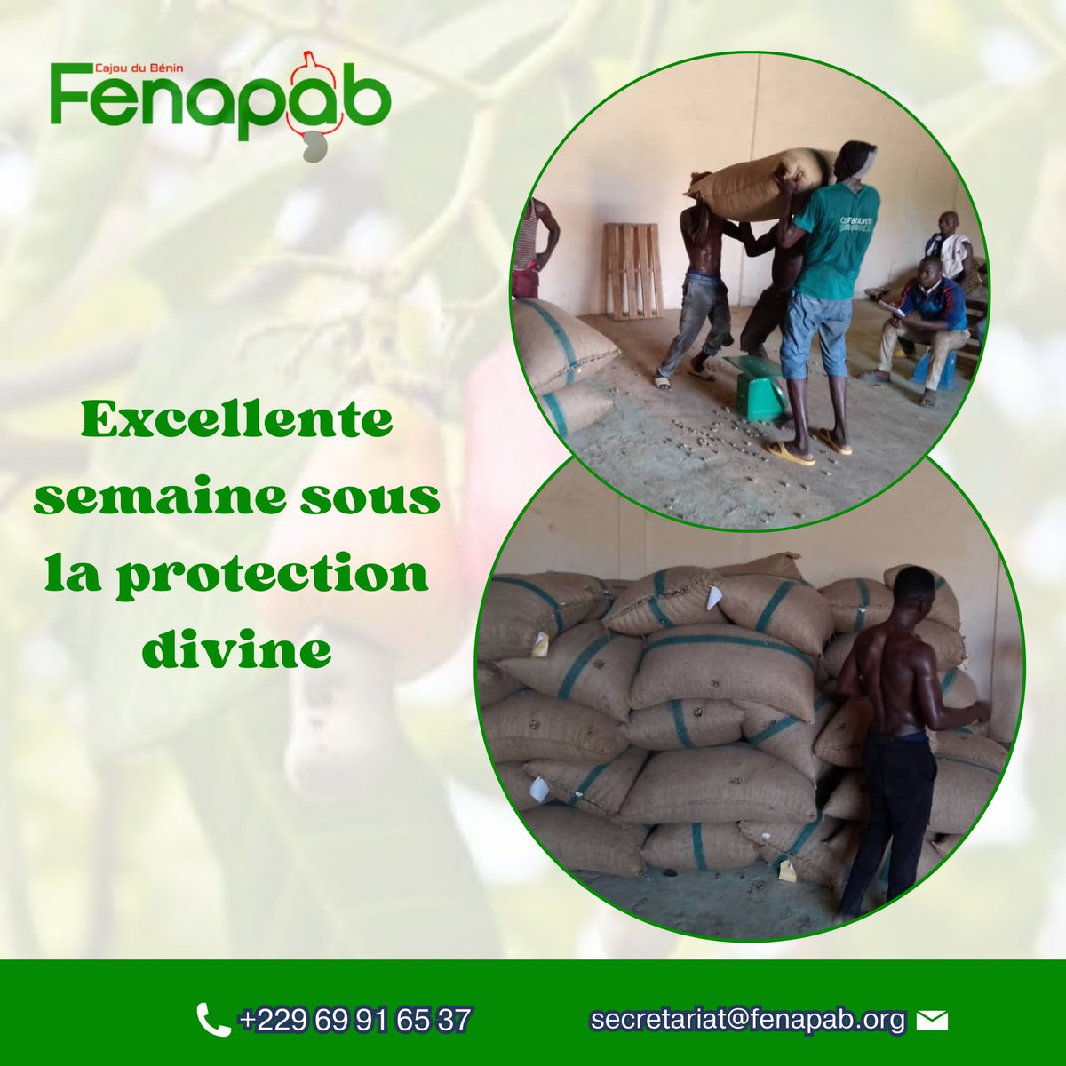 Fenapab2022's tweet image. La FENAPAB vous souhaite une excellente semaine sous la protection divine 

#Fenapab #ExcellenteSemaine