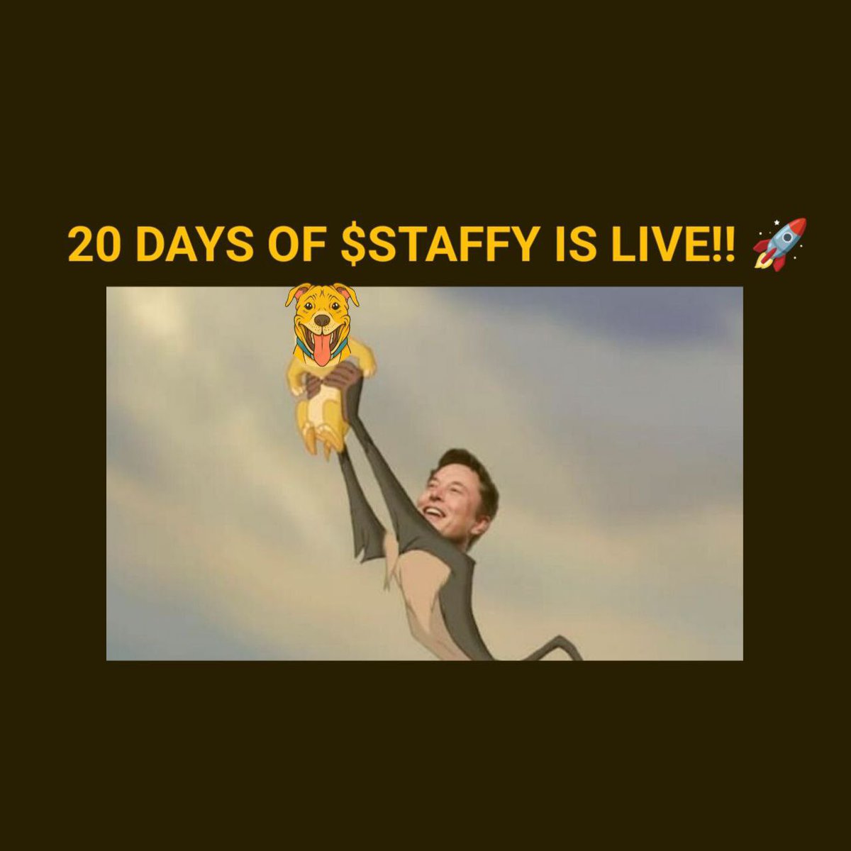 $STAFFY tweet media