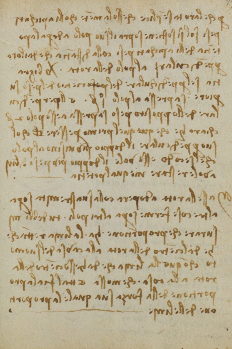 Da Vinci wrote most of his notes in mirror script, a technique possibly used to keep his ideas secret. This peculiar writing style can only be read by holding it up to a mirror.
