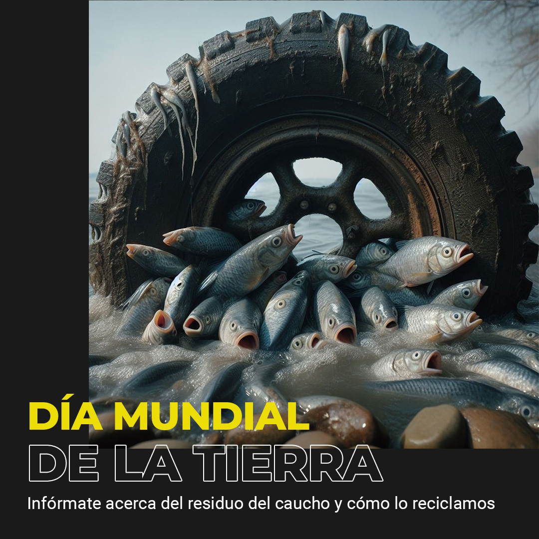 Un estudio reciente explica que los neumáticos representan un 10% del total de los microplásticos presentes en los océanos. Desde <a href="/RMDSA/">RMD SA</a>  luchamos para darle una segunda vida a estos residuos para que los mares sigan limpios y creciendo en su flora y fauna.

#DiaMundialDeLaTierra