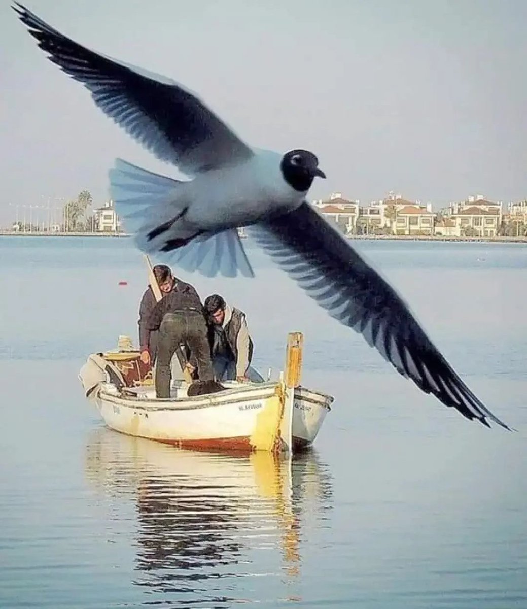 Değerli Dostlarım, Hepinize sağlık ve huzur dolu güzel haftalar dilerim... (Foto:Esat Erçetingöz)