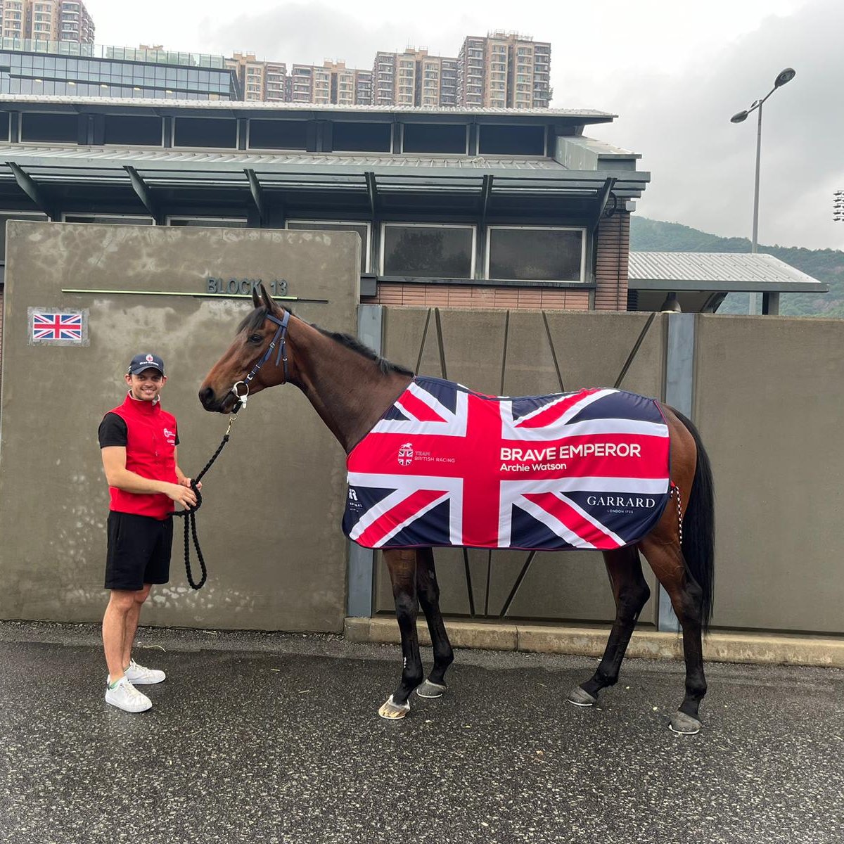 BRAVE EMPEROR looking settled in Hong Kong this afternoon with travelling head lad Louie. 🇬🇧✈️🇭🇰 The Group winner in France, Germany, Italy and Qatar for @Archie_Watson takes on Gr.1 Champions Mile on Sunday. #TeamBritishRacing | @GarrardLondon | @HKJC_Racing