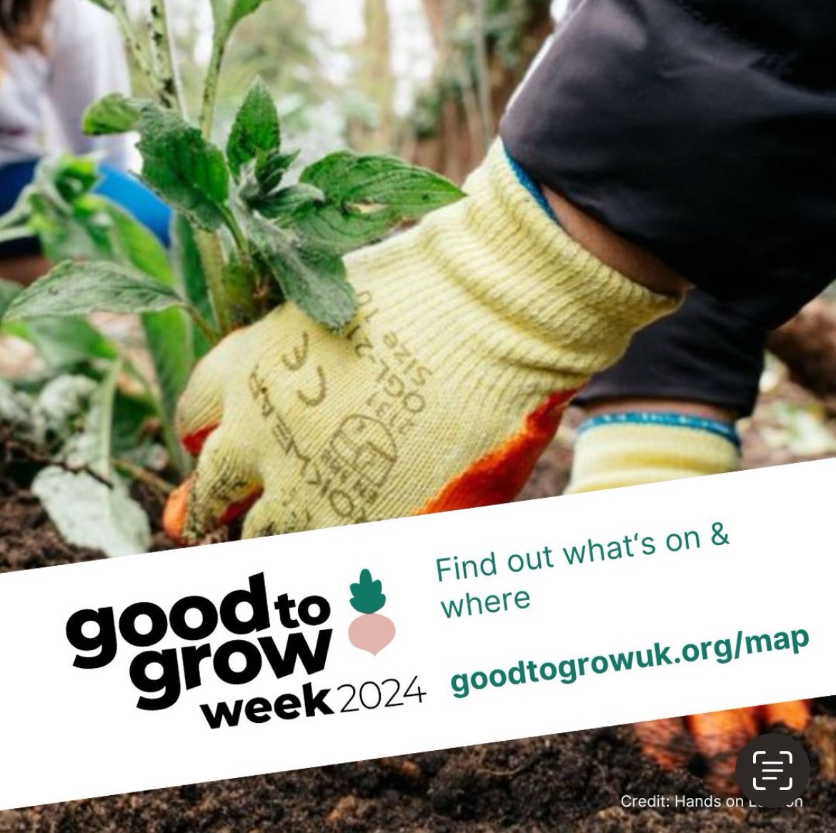 Want to connect with your community?🍓Want top tips on #growyourown? 🌿Community gardens across the UK open their gates 22 April for a week of celebration. Check out the map to find your nearest goodtogrowuk.org/map/  @UKGoodtoGrow @Capital_Growth @UKSustain #GoodToGrow2024