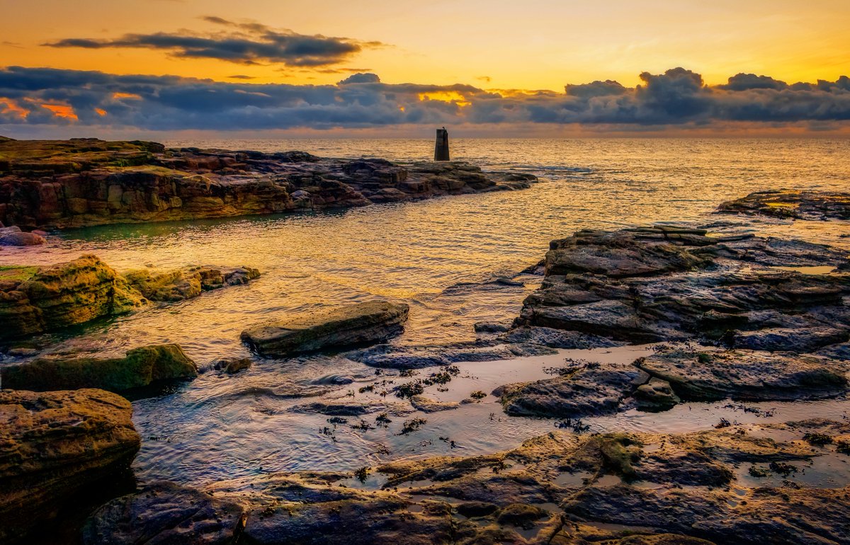 Where I love to walk. @Pexels #WhitleyBay #Northumberland #Newcastle