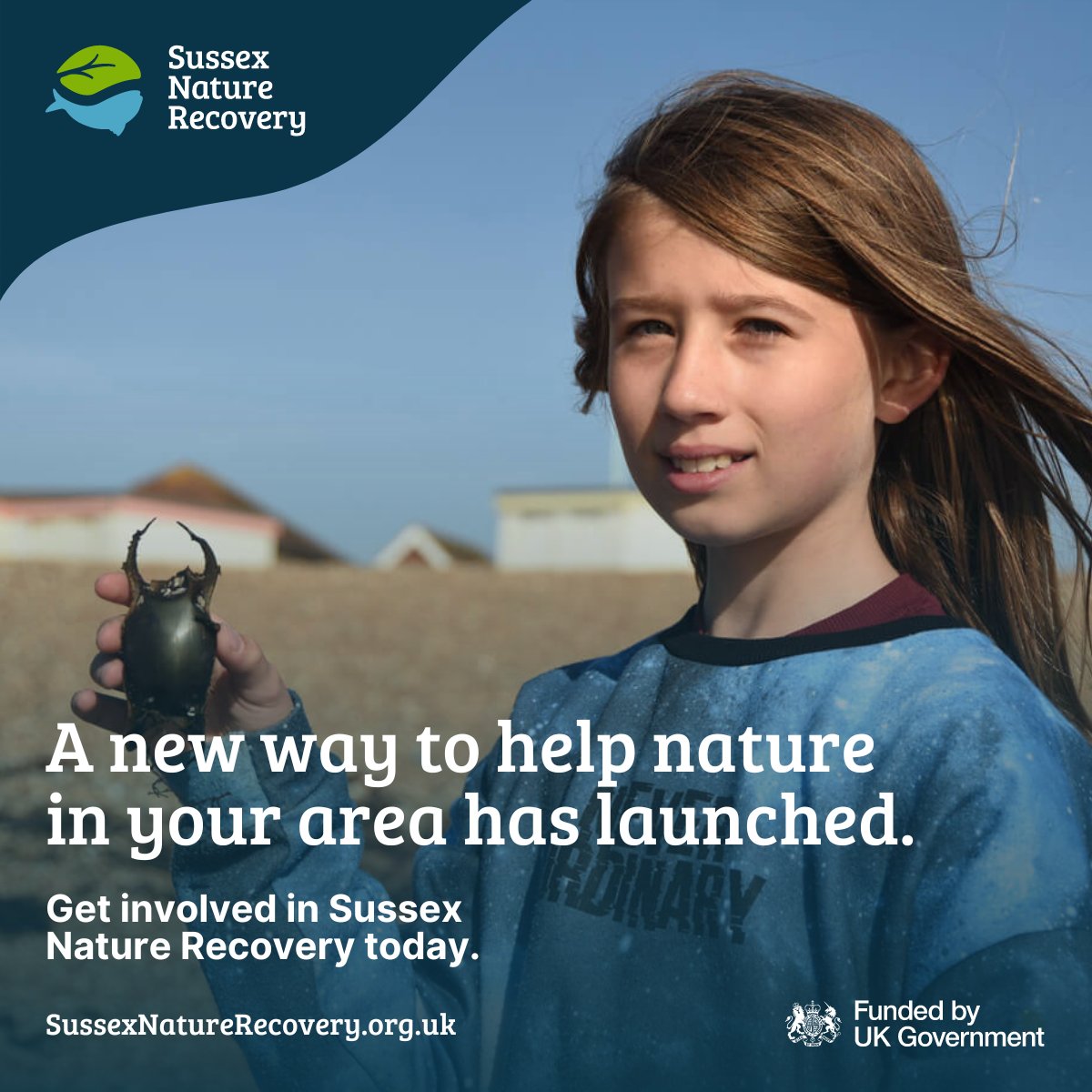 Want to help nature locally? We’re supporting East & West Sussex County Councils to develop Local Nature Recovery Strategies for East & West Sussex and Brighton & Hove – and so can you! Find out more at SussexNatureRecovery.org.uk #SussexNatureRecovery #SussexLNRS #HelpSussexNature
