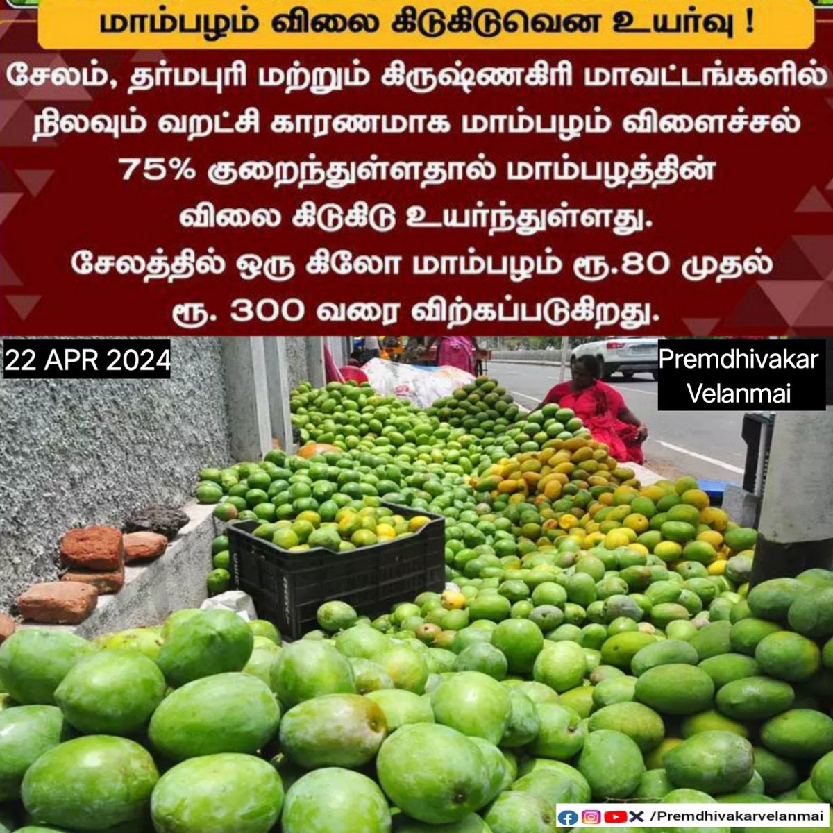 Premdhivak88439's tweet image. மாம்பழம் விலை கிடுகிடுவென உயர்வு
#mangomarket #Mango #mangoprice #Tamilnadu #Price #premdhivakar #premdhivakarvelanmai