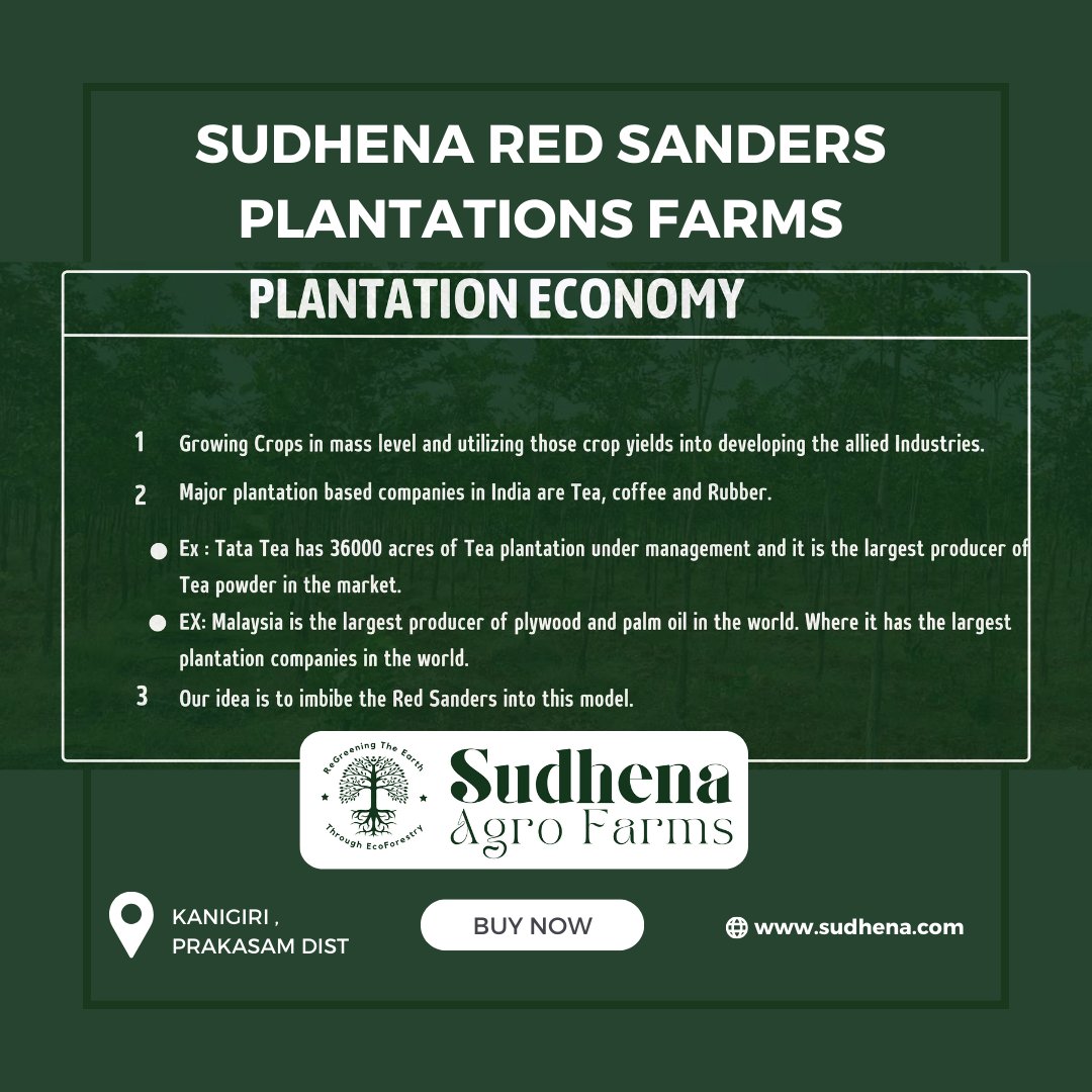 Red Sanders Farm Plantation Economy.  for details please visit us sudhena.com #SudhenaAgroFarms #RedsandalWood #BestInvestment #KanigiriFarmLands #sudhenaagrofarms