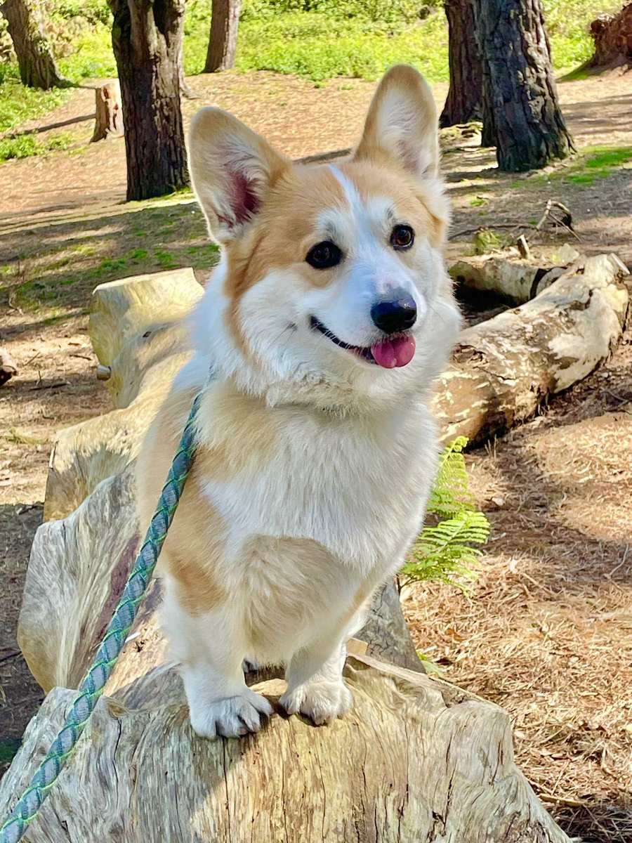 Jute Adore Gift Hampers tweet media