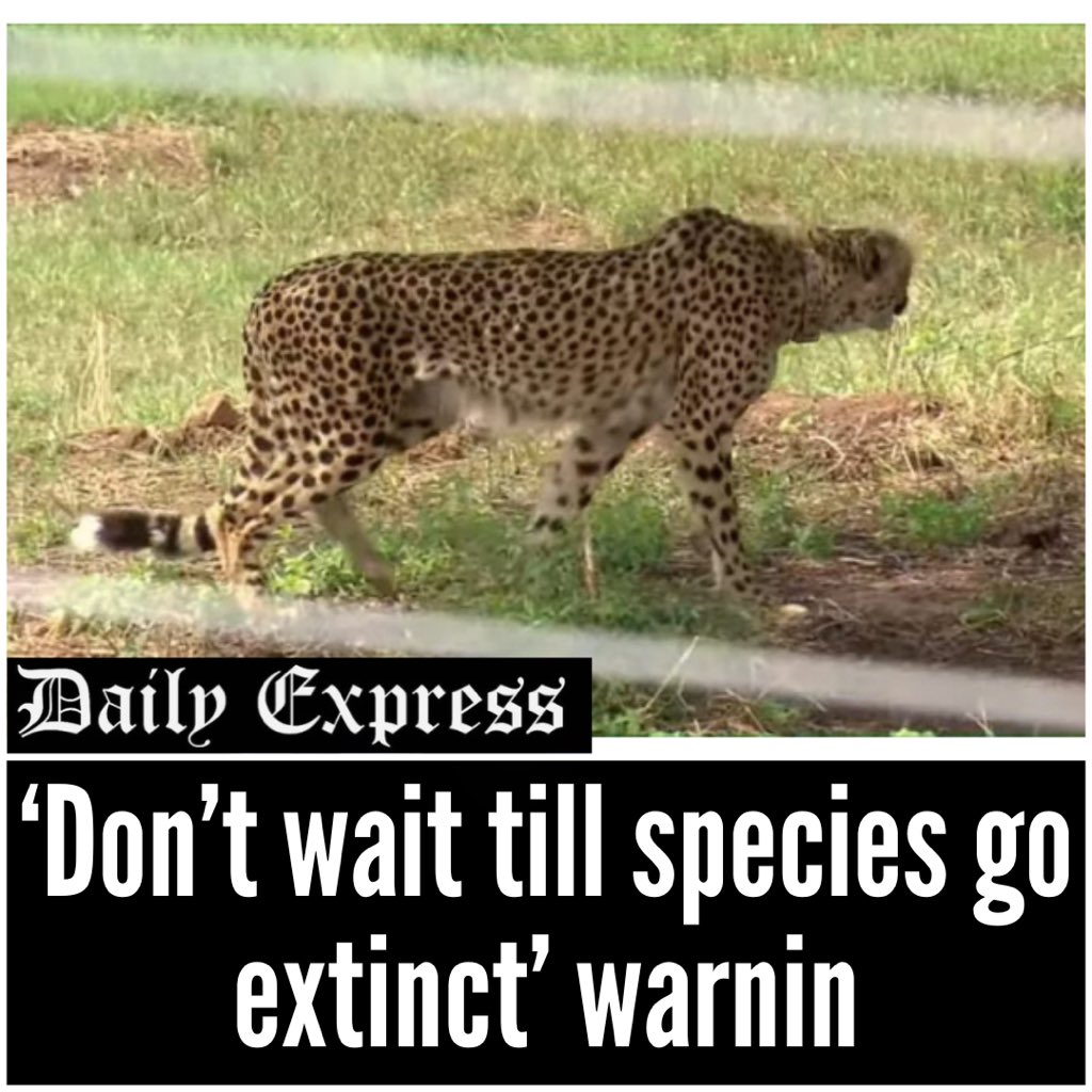 KOTA KINABALU: Sabahans are reminded to spare no efforts to save existing wildlife as it is so easy for a species to go extinct.