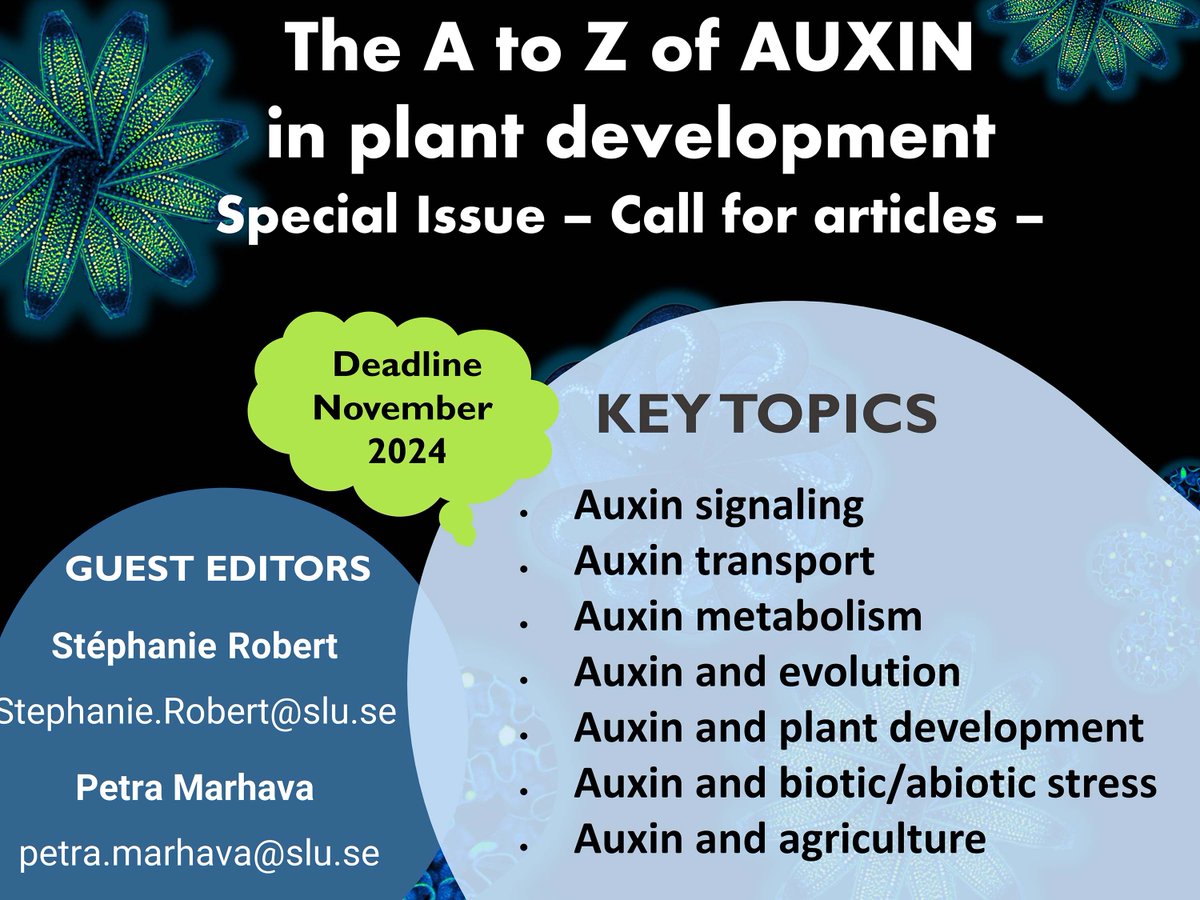 Physiologia Plantarum (@pplplantarum) on Twitter photo Welcome to submit your manuscript to our Special Issue "The A to X of auxin in plant development". Still a lot to discover about auxin! <a href="/UmeaPlantSci/">Umeå Plant Science Centre (UPSC)</a> @SrobertGroup <a href="/wileyplantsci/">Wiley Plant Science</a> <a href="/MarhavaPetra/">Petra Marhava</a>
More info bit.ly/4aO6uty Welcome to submit your manuscript to our Special Issue "The A to X of auxin in plant development". Still a lot to discover about auxin! <a href="/UmeaPlantSci/">Umeå Plant Science Centre (UPSC)</a> @SrobertGroup <a href="/wileyplantsci/">Wiley Plant Science</a> <a href="/MarhavaPetra/">Petra Marhava</a>
More info bit.ly/4aO6uty