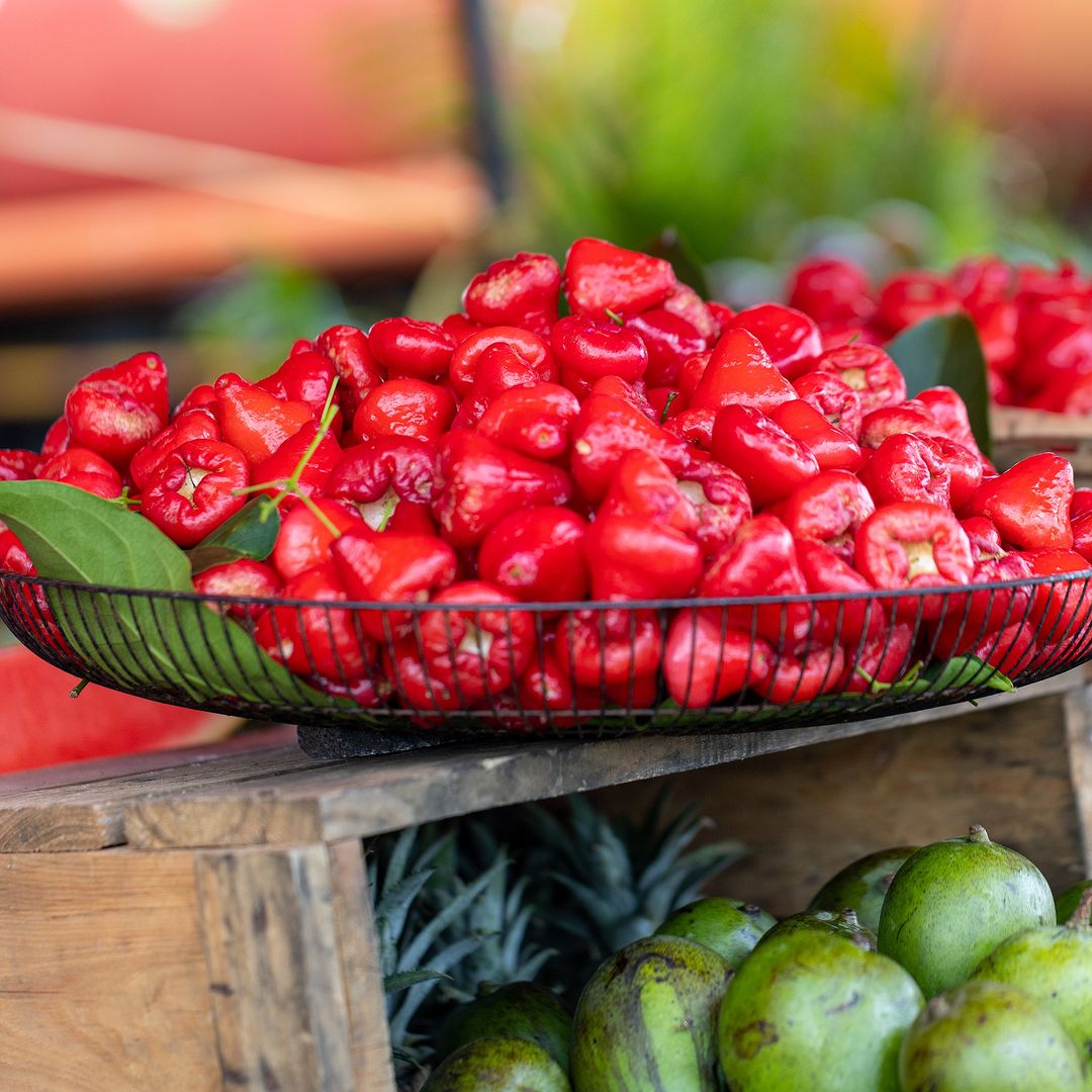 Mauritius_UK's tweet photo. Indulge in the tropical delight of Mauritius with this exotic fruit! With its vibrant red colour and juicy texture, Jamalac is a true gem of the island's fruit basket. Come and taste it for yourself!
#MauritiusNow #jamalac #exoticfruit #islandvibes #streetfood
:@foodies.mu https://t.co/zSv9MOu4H8