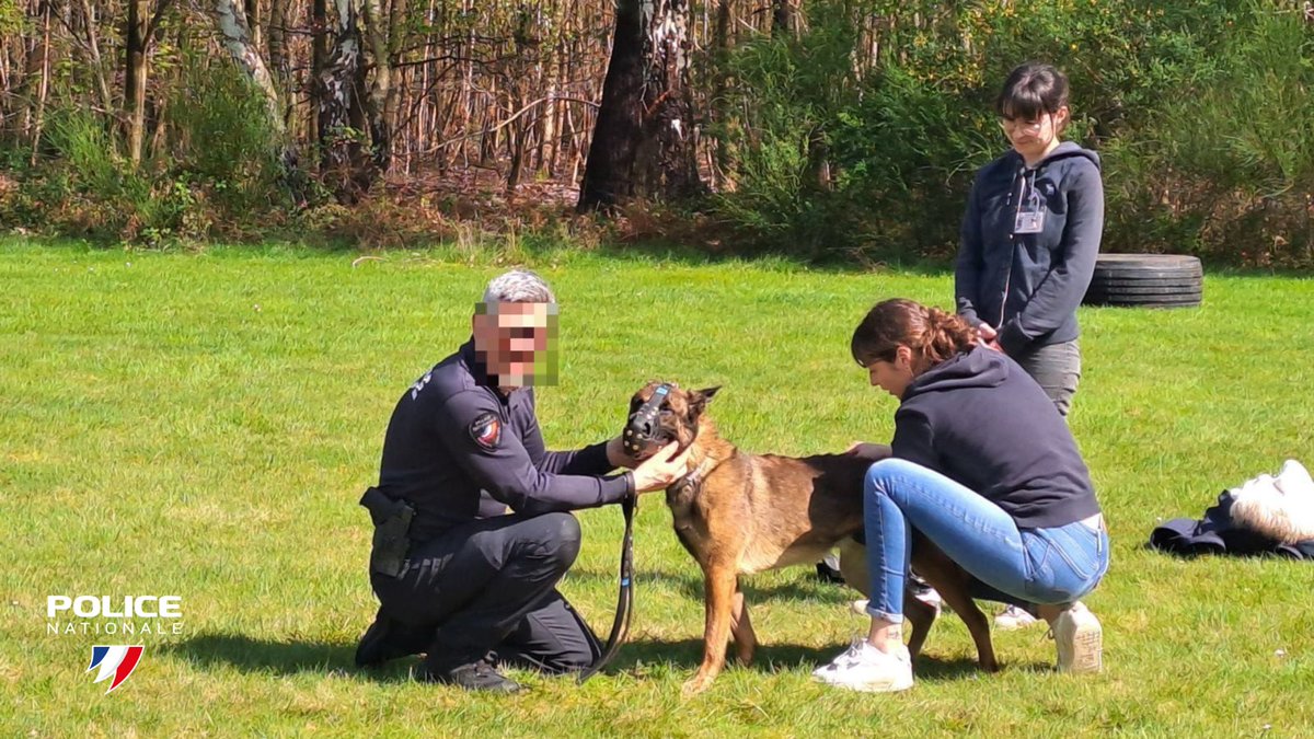 #K9 | 🐕 Les chiens policiers méritent la plus grande attention pour leur permettre de bien récupérer après leurs missions. A l’école de police de Oissel (76), ils ont ont reçu la visite d’élèves en ostéopathie animale. Au programme : soins et détente.