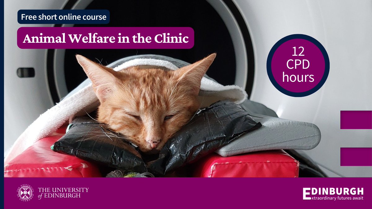 Are you a #vet, #RVN vet nurse, student, or animal care assistant? 🐱🐶 Learn how to support #animalwelfare  at every stage of the clinical visit- from transportation, waiting area, examination, operating room, &amp; recovery. Join our new online course edin.ac/3vRXKUt