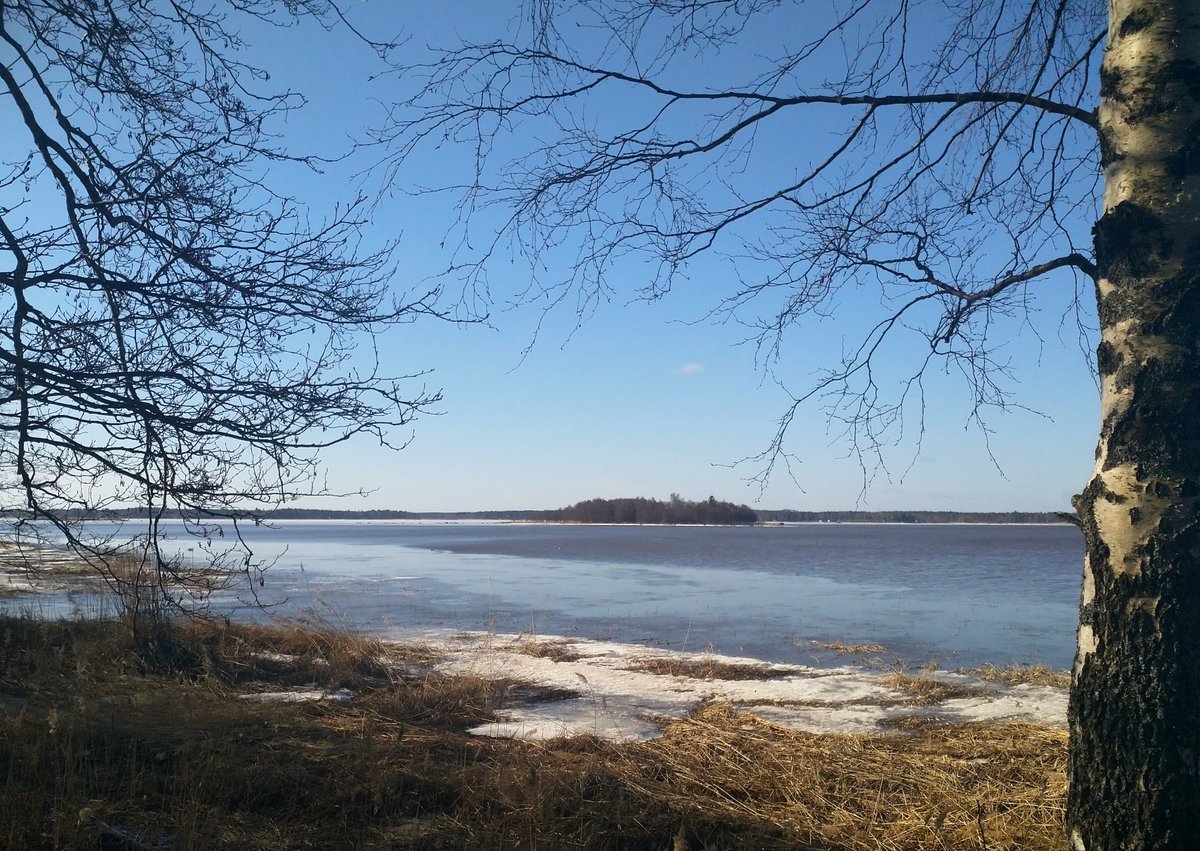 Södra stadsfjärden börjar vara isfri. Ha en bra vecka allihopa! #morningwalk #springiscoming #vaasa #vasa #finland