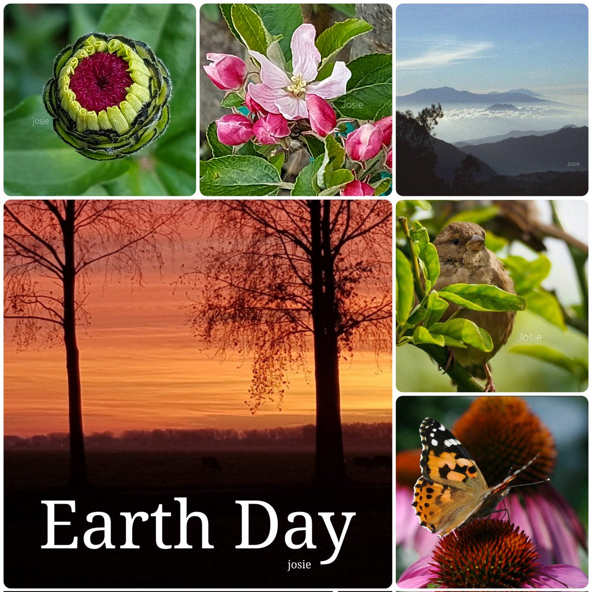 Laten we lief zijn voor elkaar. Laten we lief zijn voor de aarde. We hebben er maar 1 🌍💖 #EarthDay #DagVanDeAarde #camer_a_pril, een fotochallenge georganiseerd door @jolandabrwr