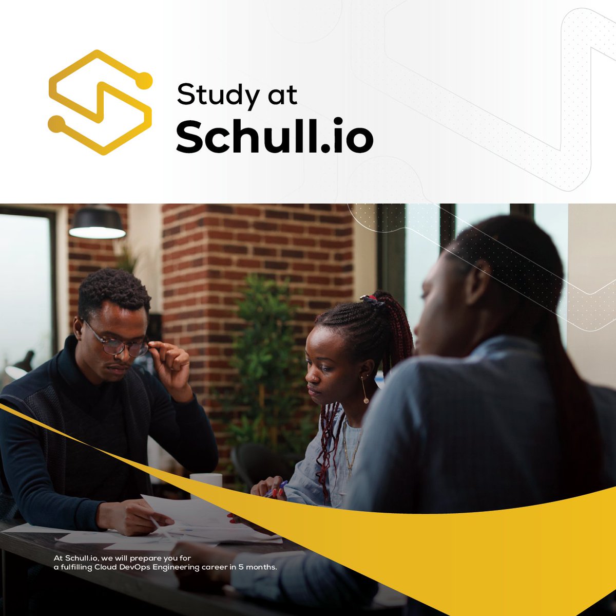 Schull.io tweet media