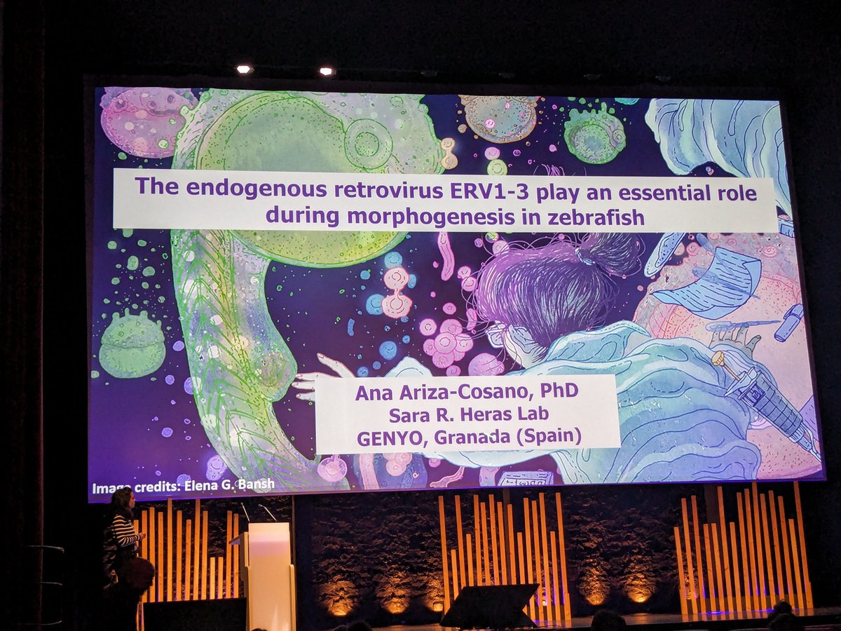 Happy to present our work at #ICTE2024. Congratulations Ana Ariza-Cosano! A pity I couldn't be there..