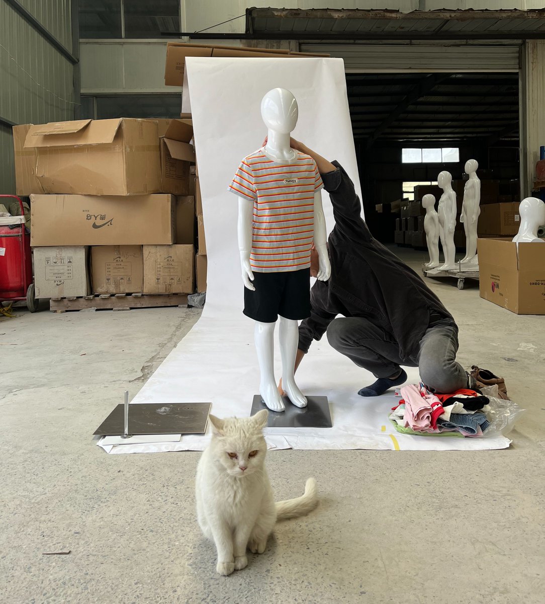 Photos shoots  X my cat.   

junhai-display.com/collectionList…

#kidmannequins
#childmannequin
#teenagersmannequin
#casualmannequin
#retaildesign
#newmannequin
#maniquies
#visualdesign
#vm
#manichini
#manequim
#Junhai